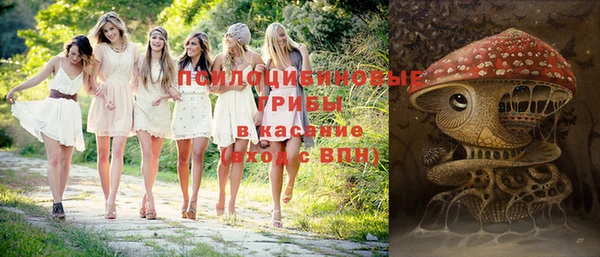 гидра Красноперекопск