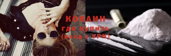 гашик Краснослободск