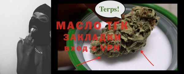 гашик Краснослободск