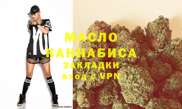 гашик Краснослободск