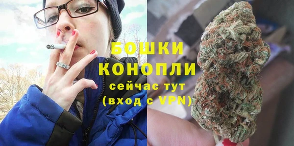 гашик Краснослободск