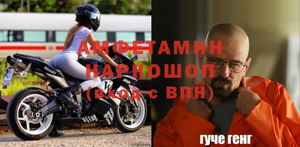 гашик Краснослободск
