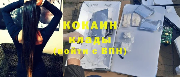 гашик Краснослободск
