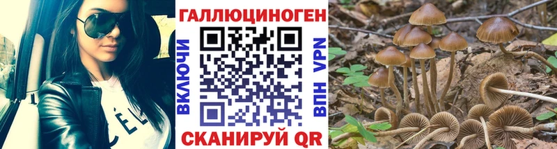 Псилоцибиновые грибы GOLDEN TEACHER  Купить закладки  Котлас 